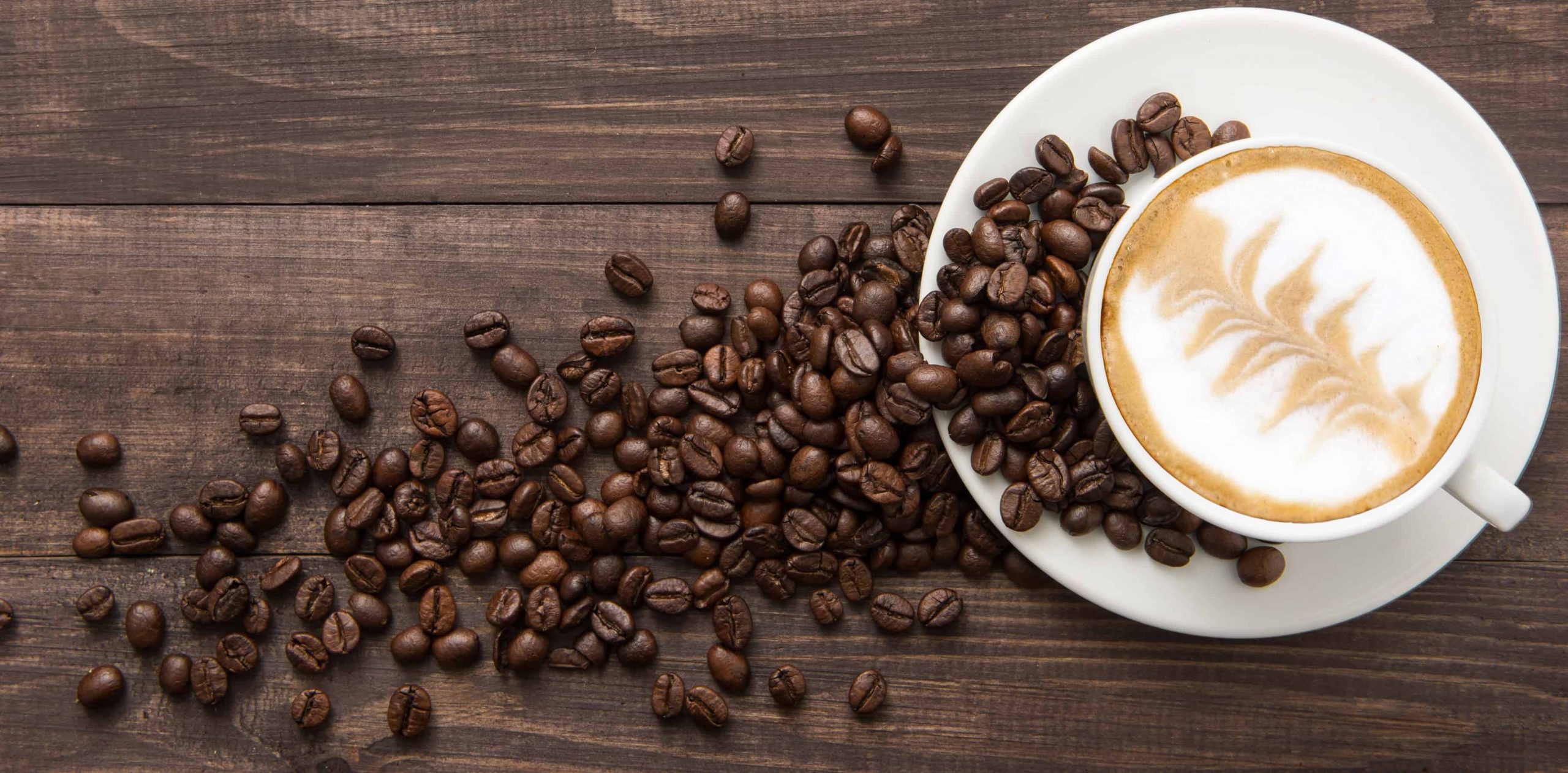 Quality Matters: Finding the Finest Wholesale Coffee Beans