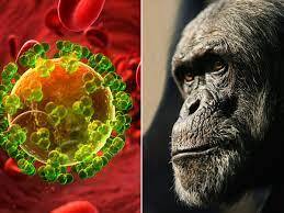 Who was the first person to get AIDS? Origins and Impact