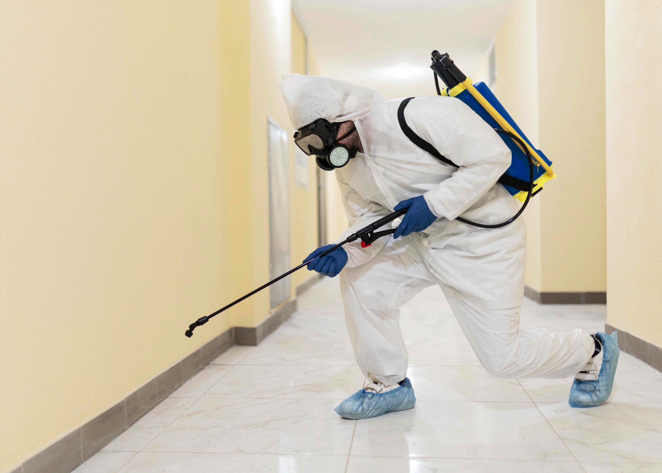 Emergency Pest Control: 24/7 Help in Point Cook