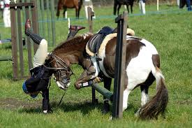 How to use tapentadol to treat the pain associated with a broken clavicle while riding horses