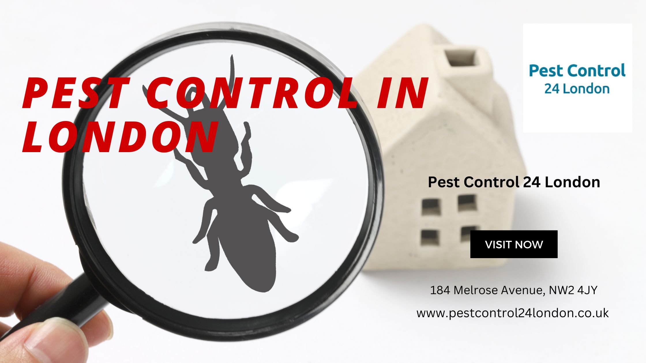 Pest Control in London: Regaining Control of Your Home