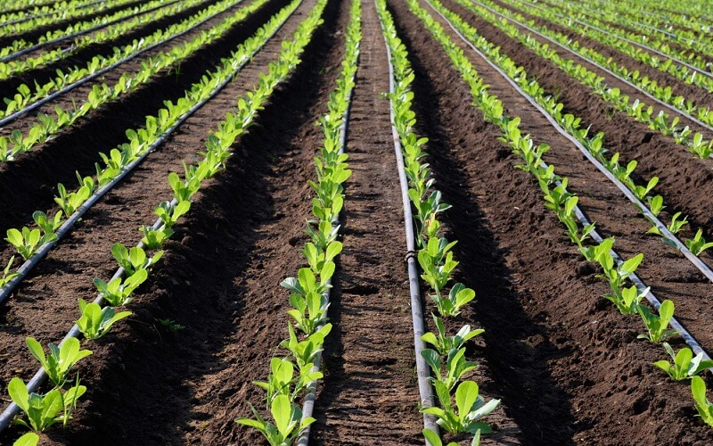 Drip Irrigation Market, Size, Global Forecast 2028