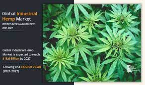 Global Industrial Hemp Market