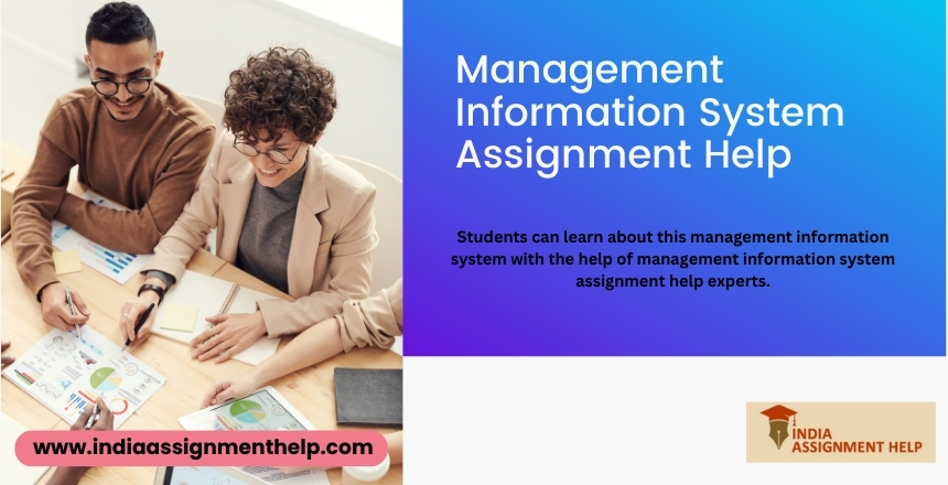 Learn About Management Information Systems, their role and impact on Business Growth