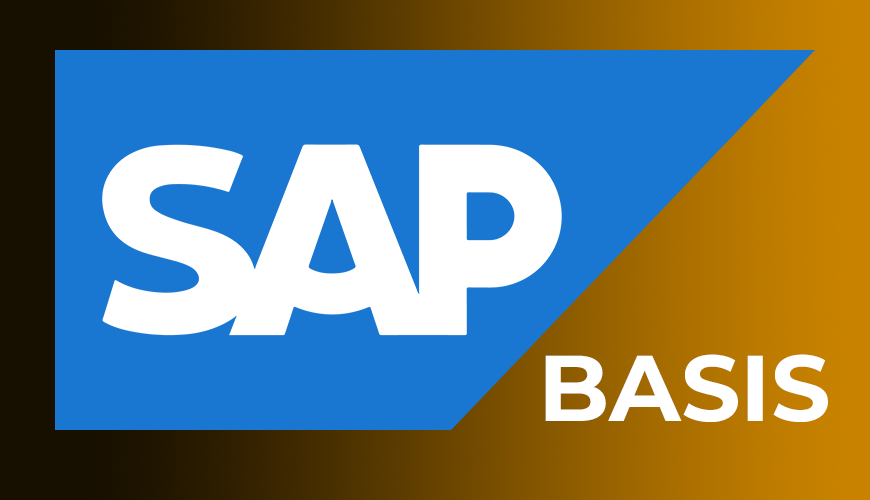 SAP BASIS Online Training Viswa Online Trainings In India