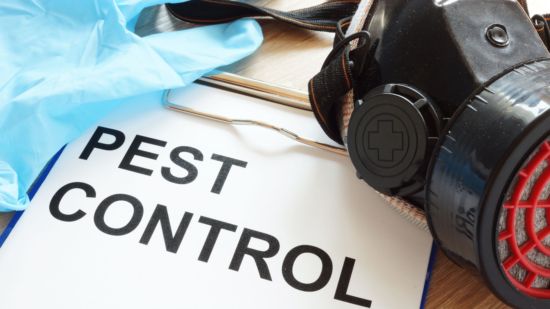The Ultimate Guide to Pest Control in London: Keeping Your Home Critter-Free!