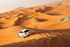 Exploring the Dunes: Unveiling the Thrills of Desert Safari in Qatar
