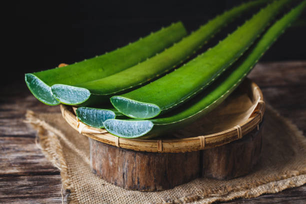 The Healing Touch of Aloe Vera: A Natural Solution for Acne Removal