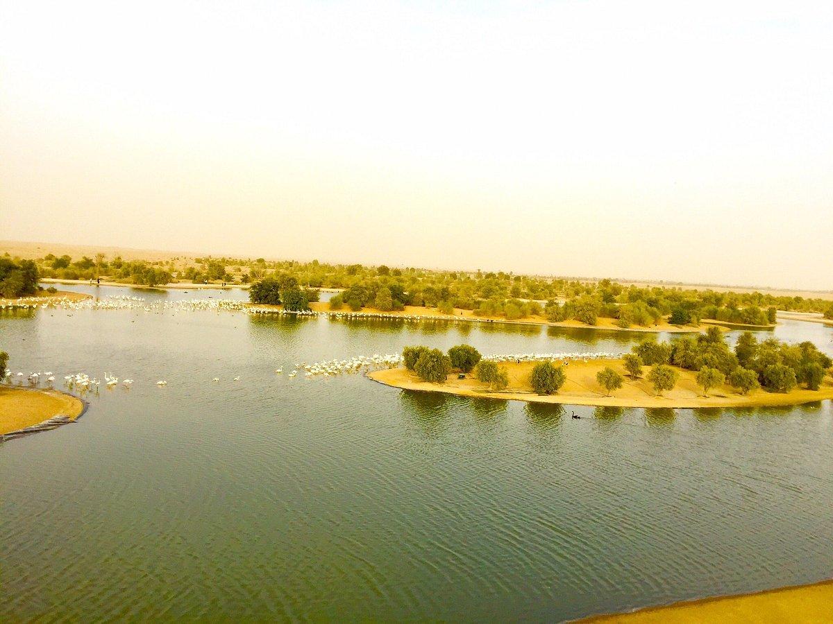 A Guide to Crafting Your Own Artificial Lake Inspired by Al-Qudra Lake’s Majesty