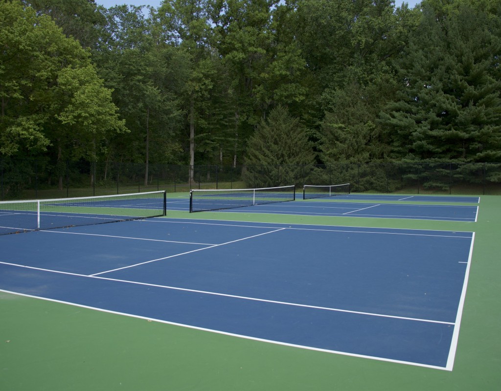 Best Things About Midlothian Middle School Pickleball Courts